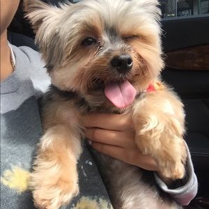 Meet your Posher, Jade